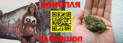 гидра Лесосибирск
