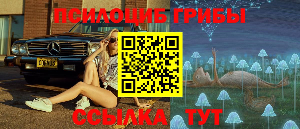 Галлюциногенные грибы мухоморы  дарнет шоп  Владимир  Вход с VPN 
