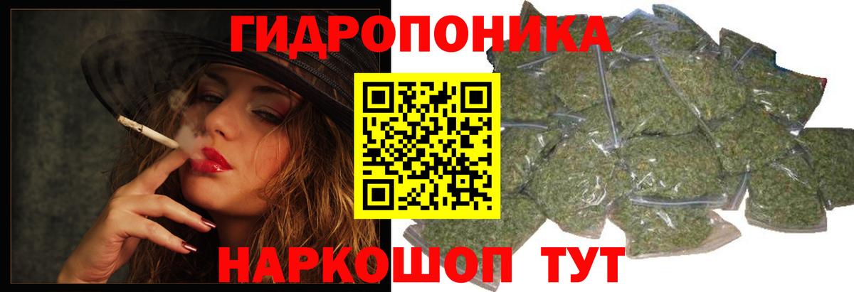 Конопля планчик Владимир